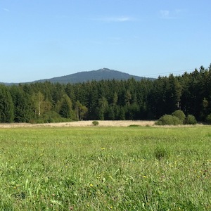 Kösseine