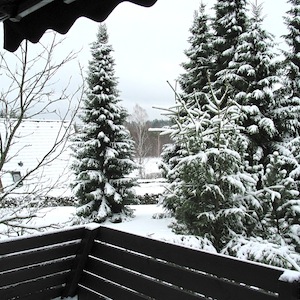 Seeblick